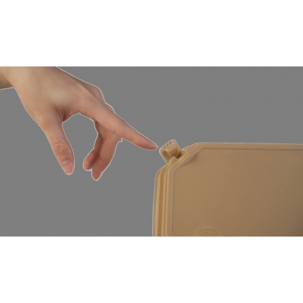 A7400001 Background Removed1.jpg